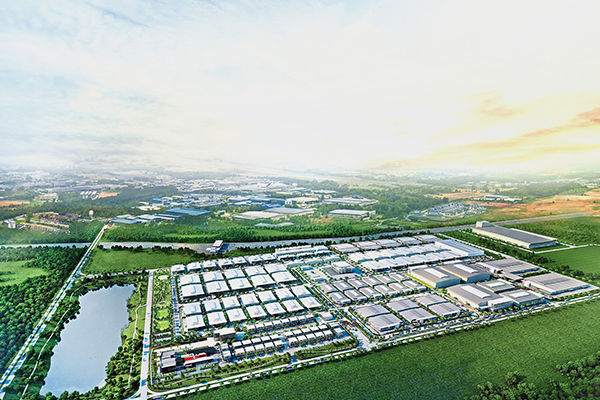 Changchun Rock Solid Inc.